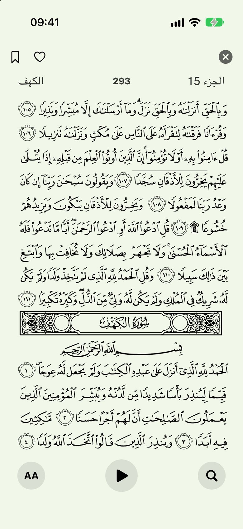 Capture Zikr